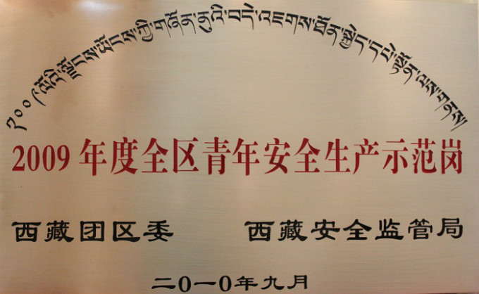 2009年度全區(qū)青年安全生產示范崗